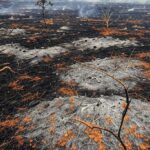 Paisagem de queimada no cerrado do Distrito Federal, com chamas, fumaça e vegetação destruída, destacando danos ambientais.