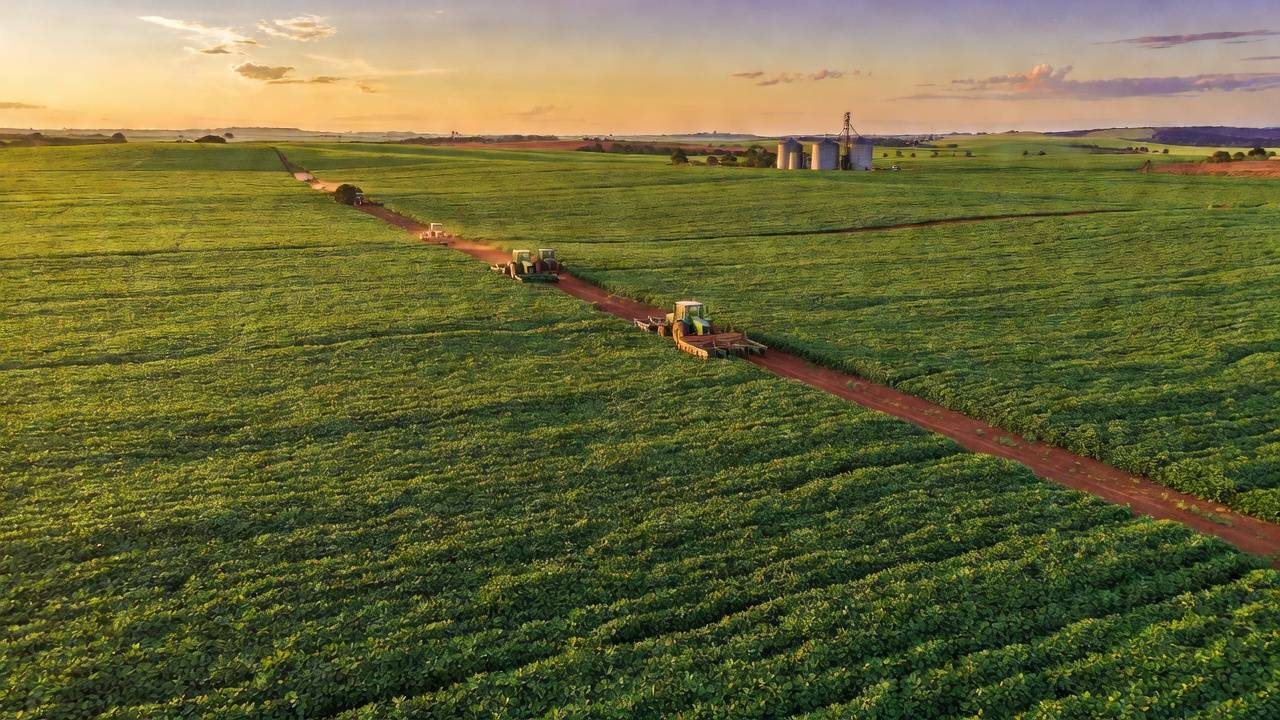 Lavouras rurais no DF sob céu nublado, simbolizando crédito rural e endividamento