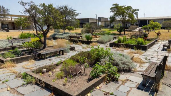 Jardim terapêutico em Brasília com vegetação nativa e aspecto de abandono, simbolizando lei sem orçamento