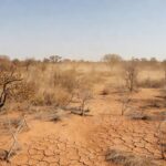 Paisagem seca do Cerrado no Distrito Federal com alerta de baixa umidade do Inmet