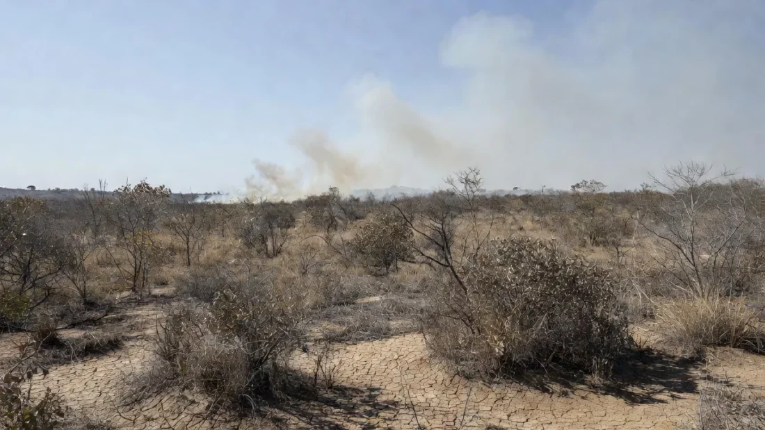 Paisagem seca do Cerrado no Distrito Federal com sinais de incêndios durante longa estiagem