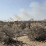 Paisagem seca do Cerrado no Distrito Federal com sinais de incêndios durante longa estiagem
