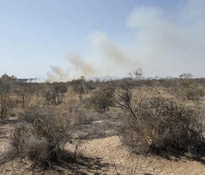 Paisagem seca do Cerrado no Distrito Federal com sinais de incêndios durante longa estiagem