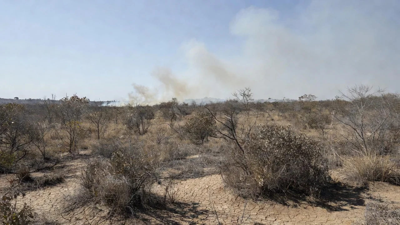 Paisagem seca do Cerrado no Distrito Federal com sinais de incêndios durante longa estiagem